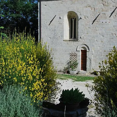 B&B San Paterniano-2